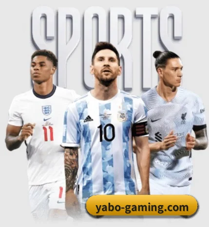 每个板块围绕一个运动项目展开 - 多运动项目内容板块 - YABO SPORTS