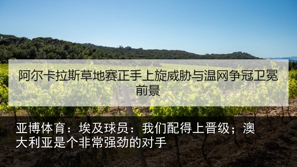亚博体育:埃及相关情况级澳相关情况劲的对手
