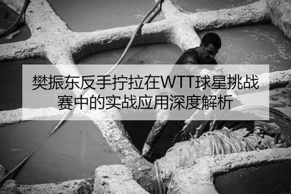 fan-zhen-dong-fan-shou-ning-la-zai-qiu-xing-tiao-zhan-sai-zhong-de-shi-zhan-ying-yong-shen-du-jie-xi-3-337.jpg