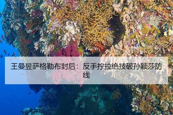 wang-man-yu-sa-ge-lei-bu-feng-hou-fan-shou-ning-la-jue-ji-po-sun-ying-sha-fang-xian-2-442.jpg
