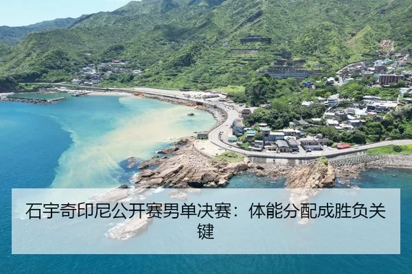 shi-yu-qi-yin-ni-gong-kai-sai-nan-dan-jue-sai-ti-neng-fen-pei-cheng-sheng-fu-guan-jian-2-182.jpg