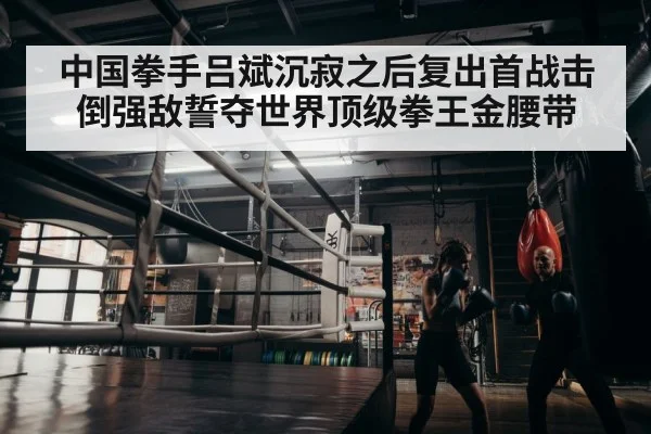boxer training in gym
