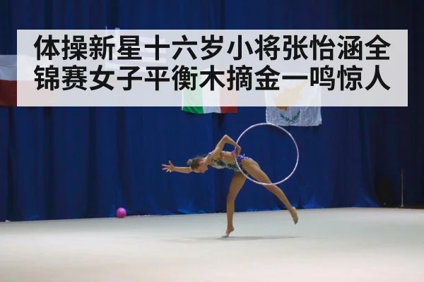 gymnastics competition
