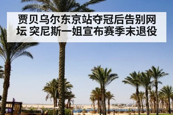 贾贝乌尔东京站夺冠后告别网坛 突尼斯一姐宣布赛季末退役